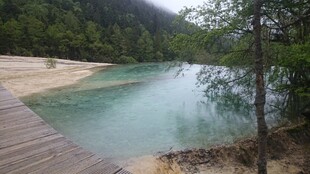 湖畔木栈道的自然美景