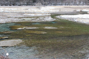 清澈浅滩中的绿色水域