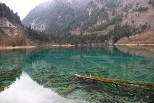 九寨沟清澈碧绿的湖水