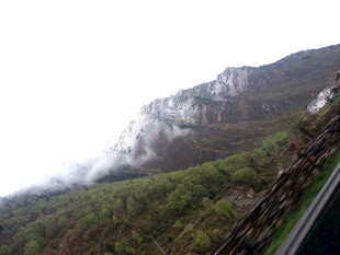 山间云雾缭绕的绿意景致