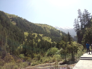 山间步道上的徒步者