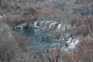冬日冰封河流与萧瑟树林