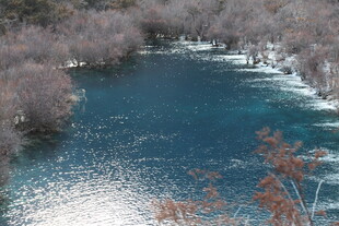 冬日蓝湖与萧瑟岸边景致