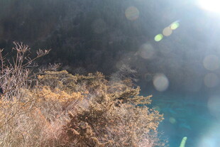 山间蓝湖旁的枯黄植被