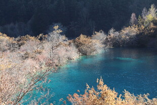 九寨沟蓝湖秋景