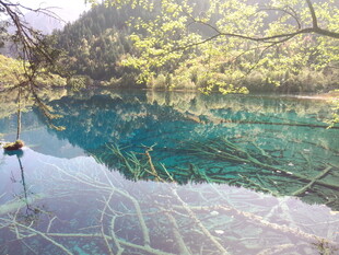 梦幻蓝绿湖水与倒映树木