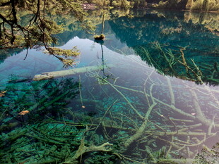 水下绿植景观 清澈之美