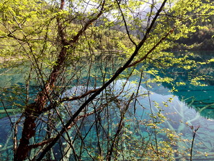 林间幽蓝湖水美景