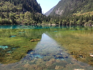 九寨沟清澈碧绿的湖水
