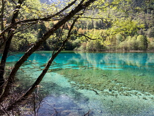 清澈幽蓝的森林湖泊