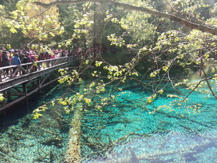 梦幻蓝绿潭边的观景栈道