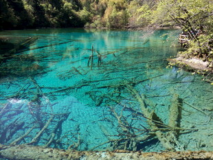 清澈蓝绿色的美丽水下世界