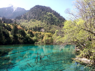 清澈碧绿的山间湖泊美景