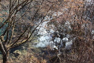 冬日枯树环绕的静谧溪流