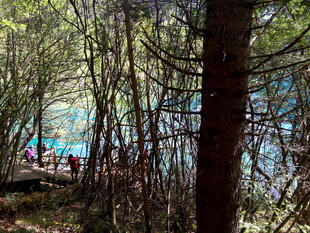 林间湖畔的休闲场景