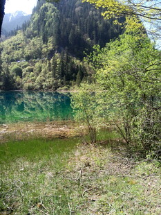 山间幽湖 绿意环绕之景