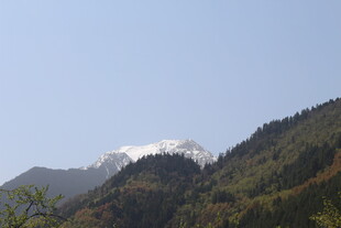 巍峨青山顶覆皑皑白雪