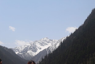 雪山下的山林美景