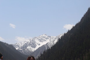 雪山森林壮丽自然景观