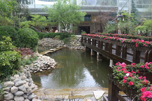 中式园林小桥流水景致