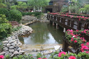 中式园林秀丽水景石桥