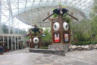 室内奇特雕塑景观