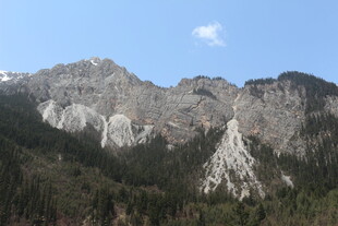壮丽山景 峰林与葱郁植被