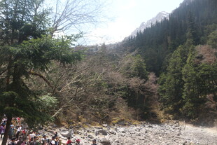 山间碎石路与葱郁林木