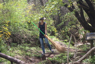 女子林中持扫帚清理杂物