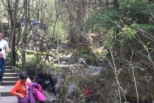 山林中徒步的背包客队伍