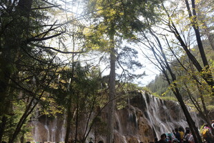 山林间的壮观瀑布景观