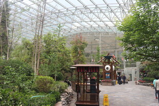 温室景观中的复古小亭