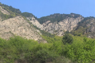 青山绿树环绕的壮美山景