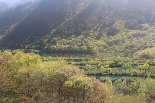 山间翠绿湖泊美景