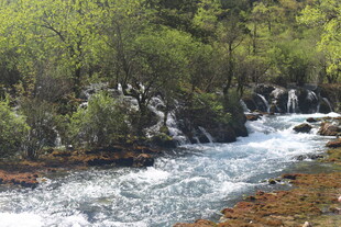 山间溪流潺潺 绿意盎然