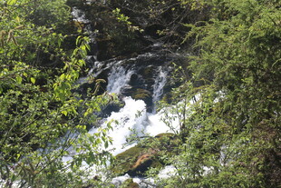 山间溪流瀑布绿意盎然