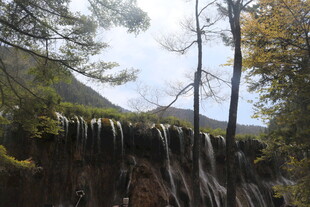 山间瀑布 林木环绕之景