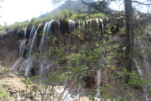 山间瀑布旁的葱郁景致