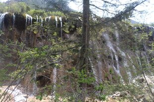 山间瀑布旁的葱郁树木