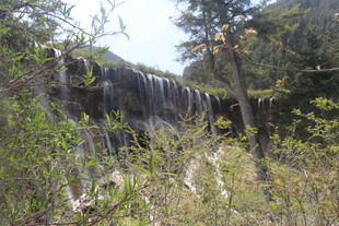 山间瀑布被绿植环绕