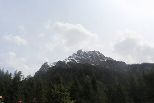 巍峨山峦与葱郁林木