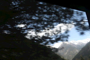 水面倒映的天空与树木