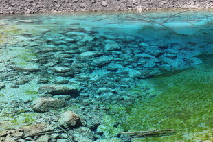 清澈水底的石块与绿植