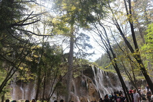 森林中壮观的瀑布景观