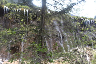 山间垂挂的绿色植物景观