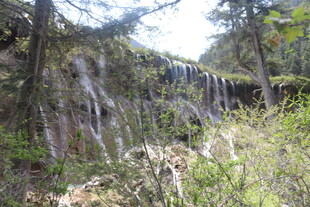 山间瀑布下的绿意景致