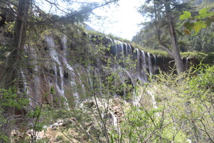 山间瀑布下的繁茂植被