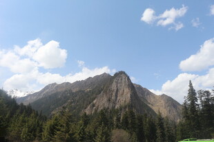 巍峨山峦与葱郁林木景观