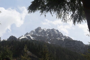 巍峨山峦与葱郁林木景观