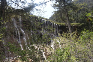 山间瀑布旁的繁茂植被